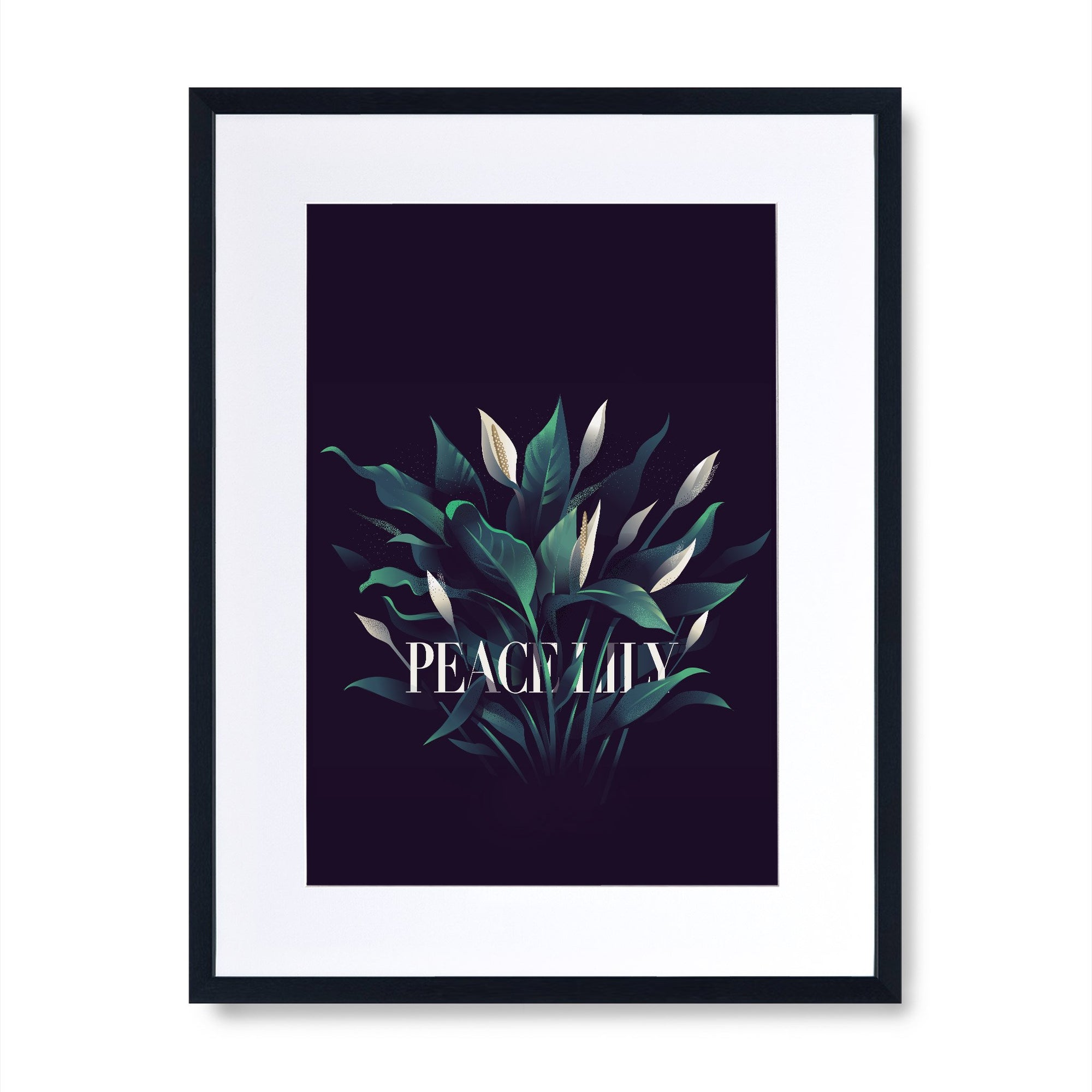 Peace Lily