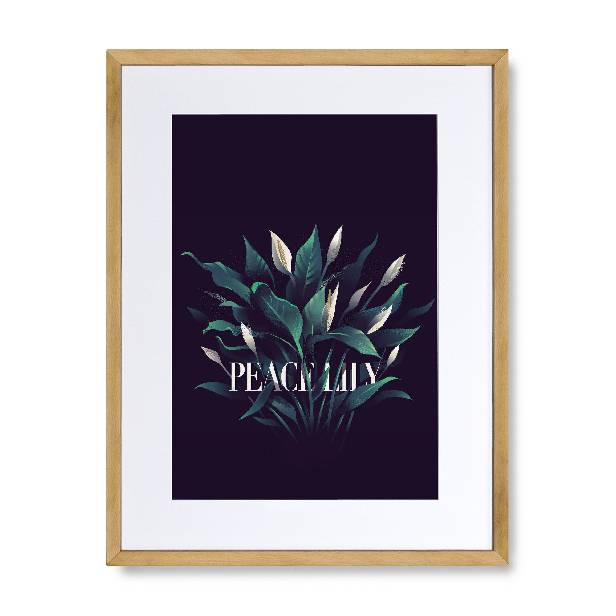 Peace Lily