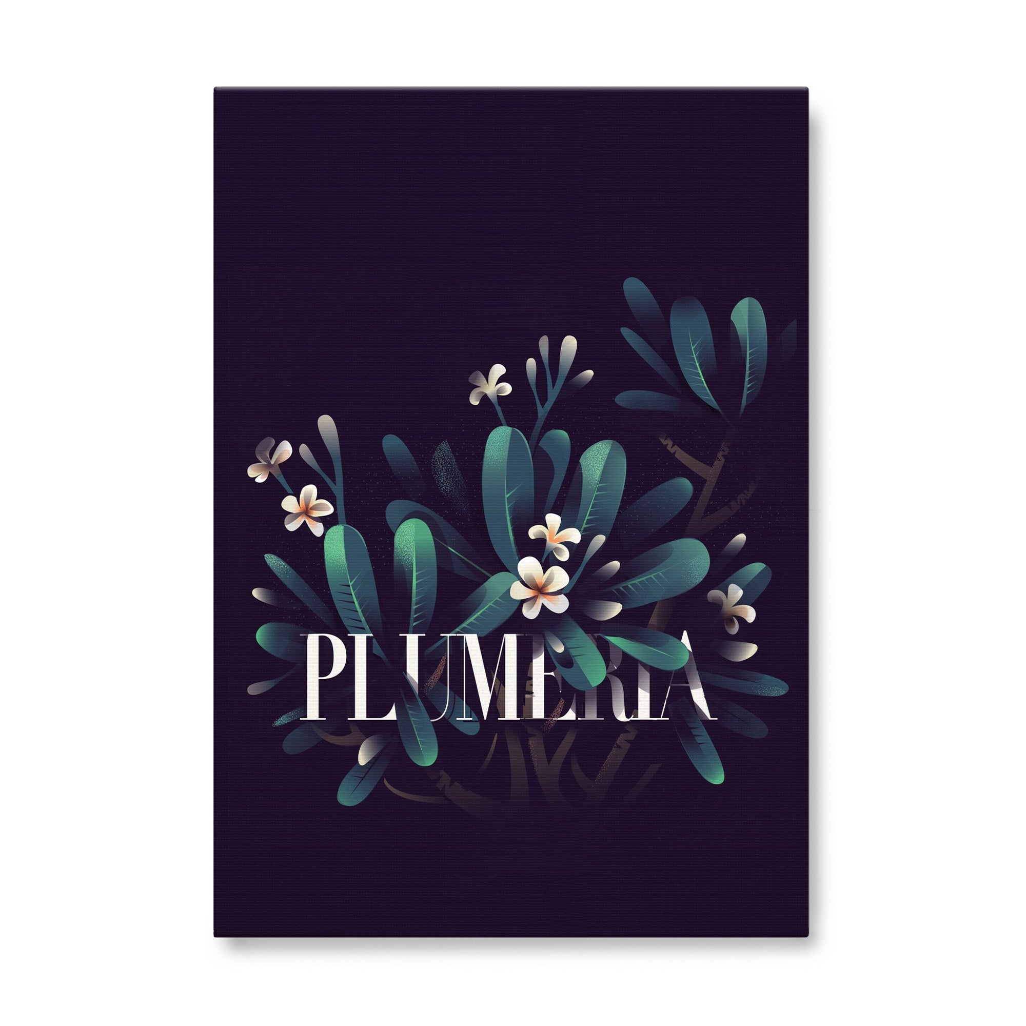 Plumeria