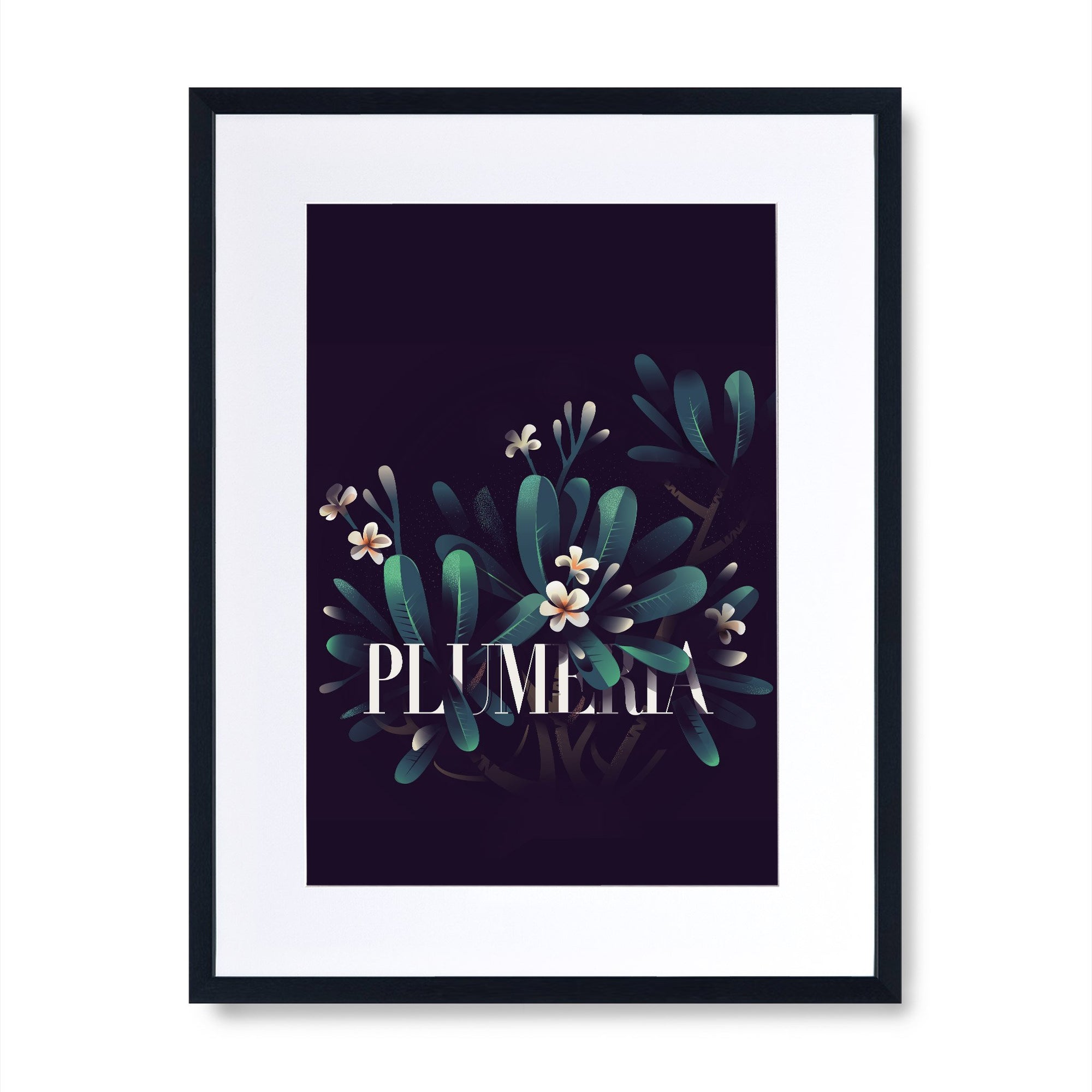 Plumeria