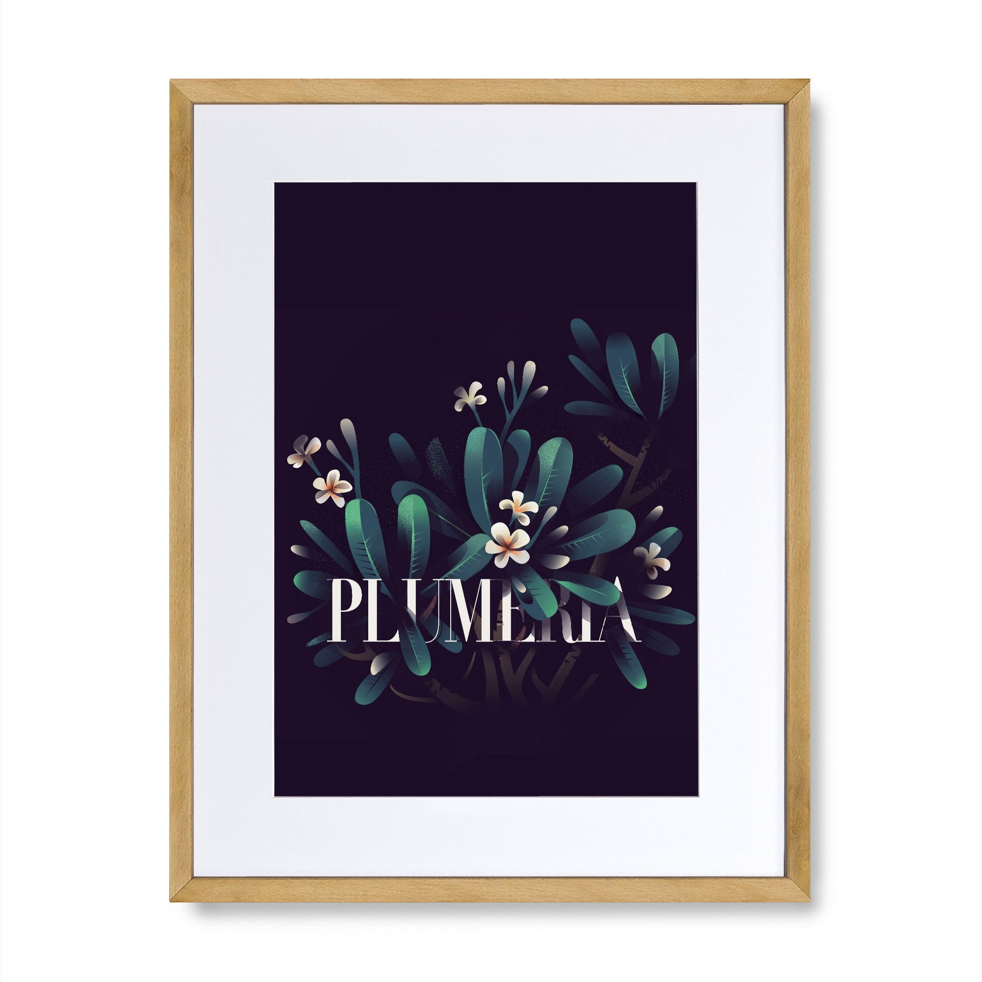 Plumeria
