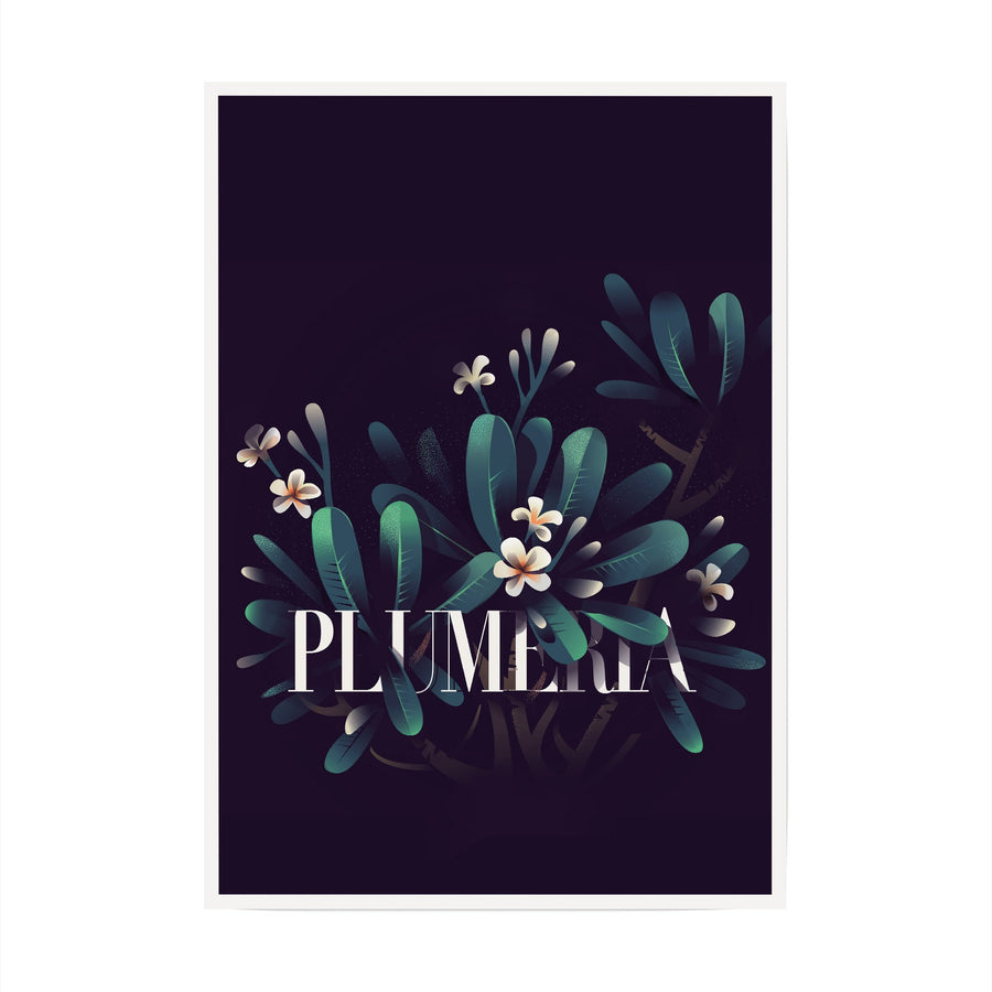Plumeria