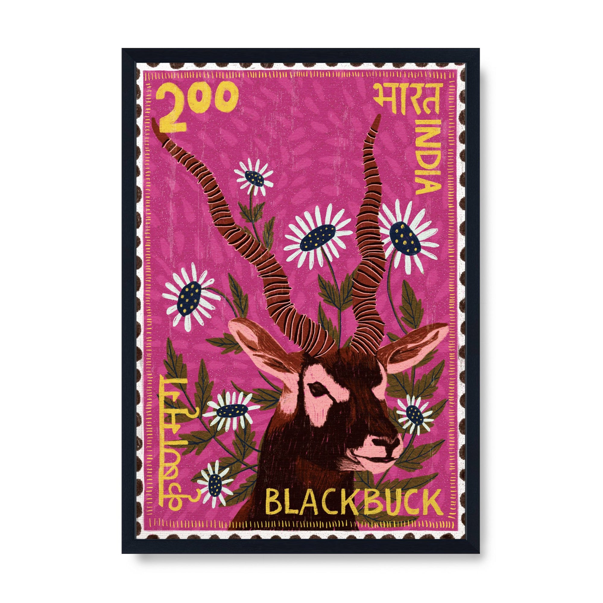 Postage Stamp - Blackbuck