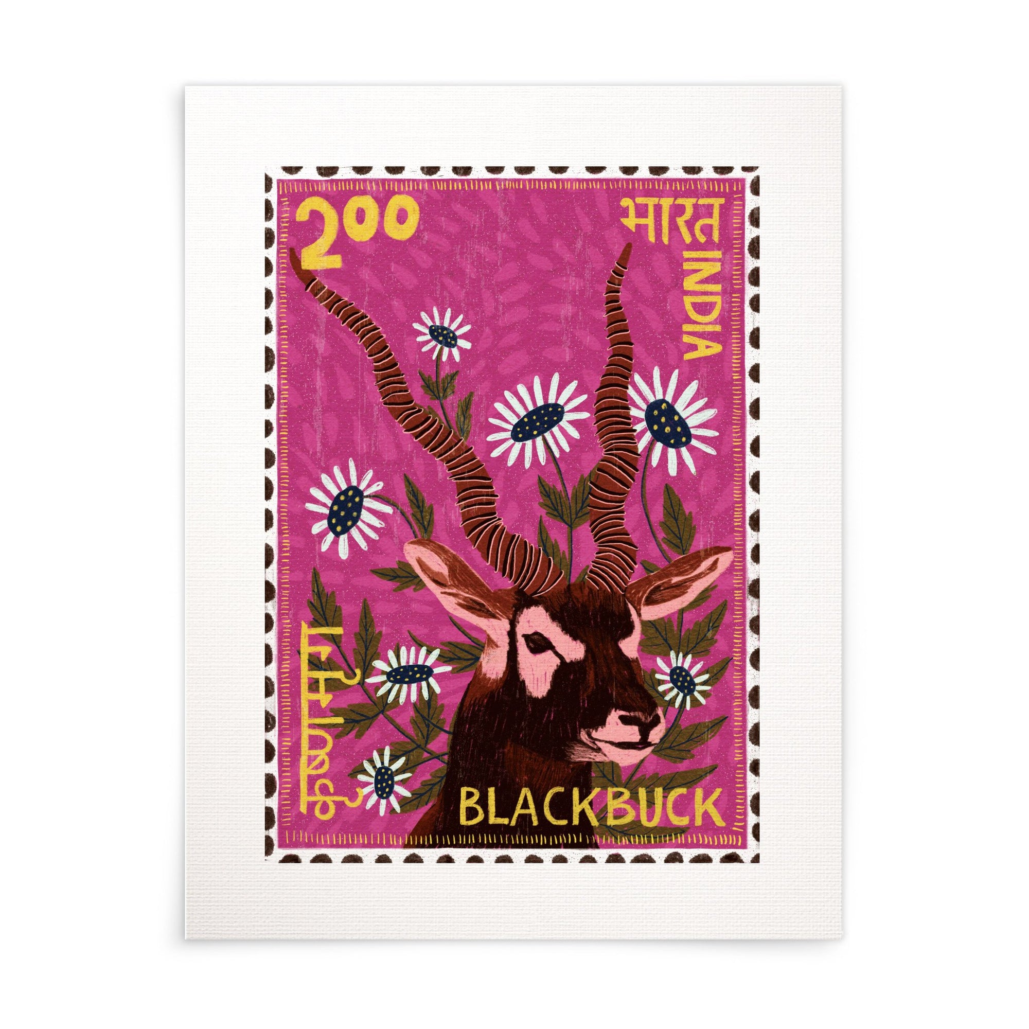 Postage Stamp - Blackbuck