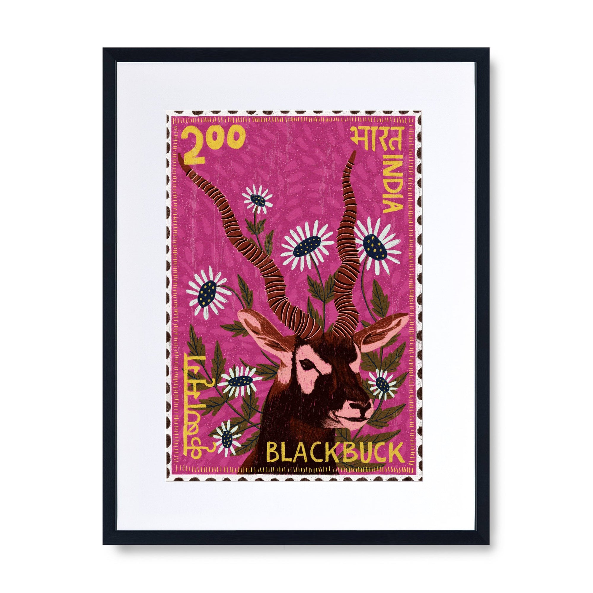 Postage Stamp - Blackbuck