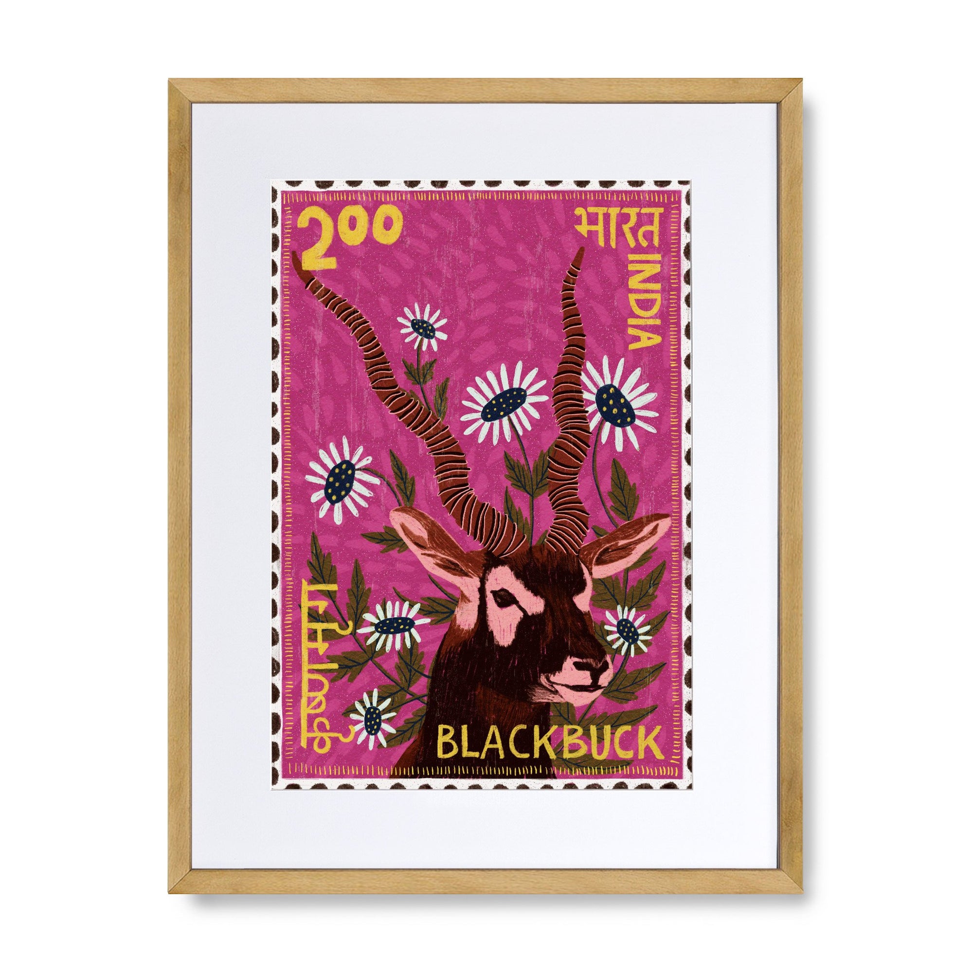 Postage Stamp - Blackbuck