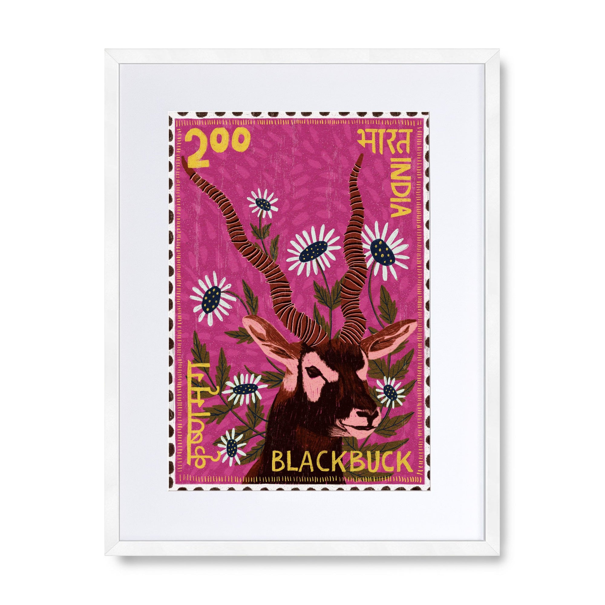 Postage Stamp - Blackbuck