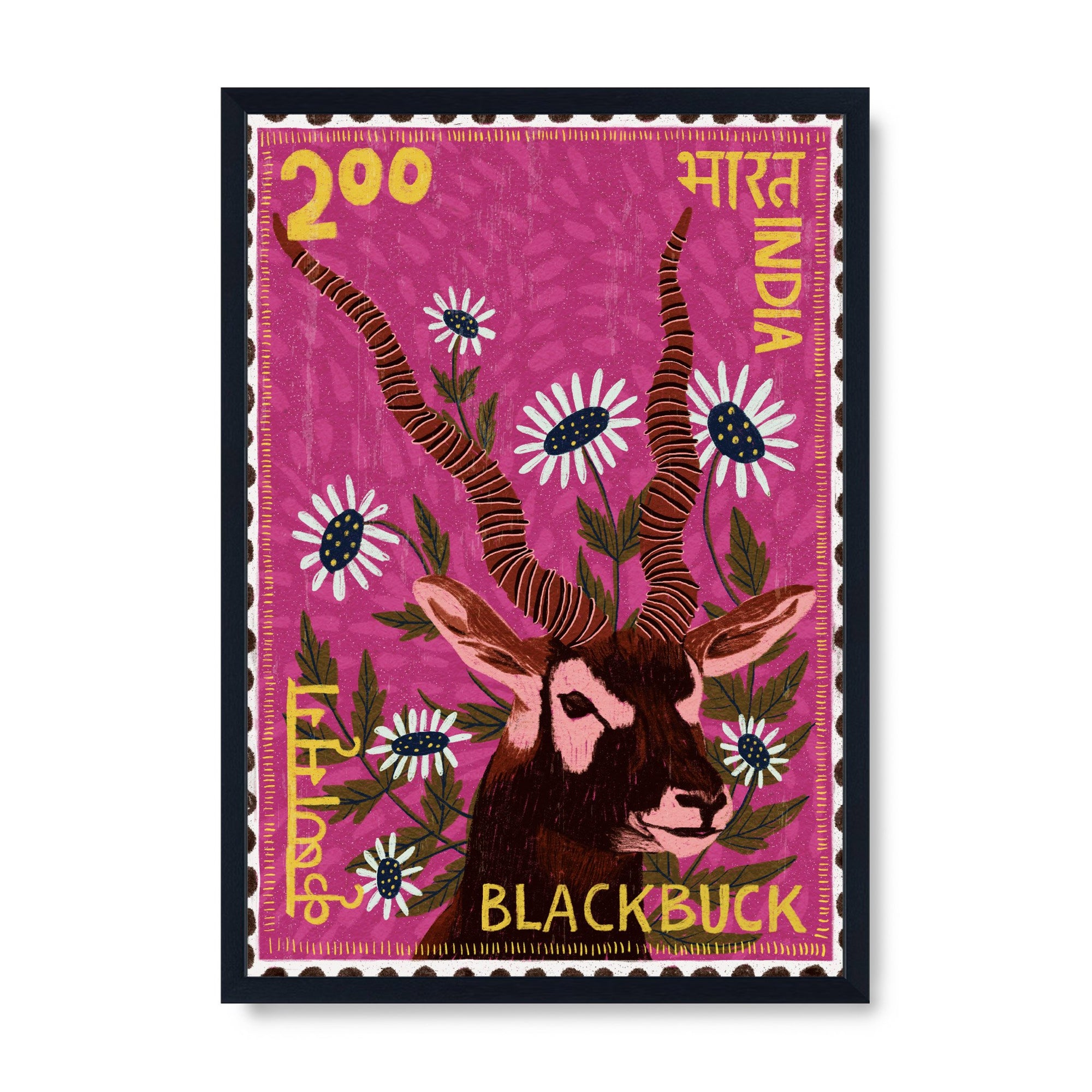 Postage Stamp - Blackbuck
