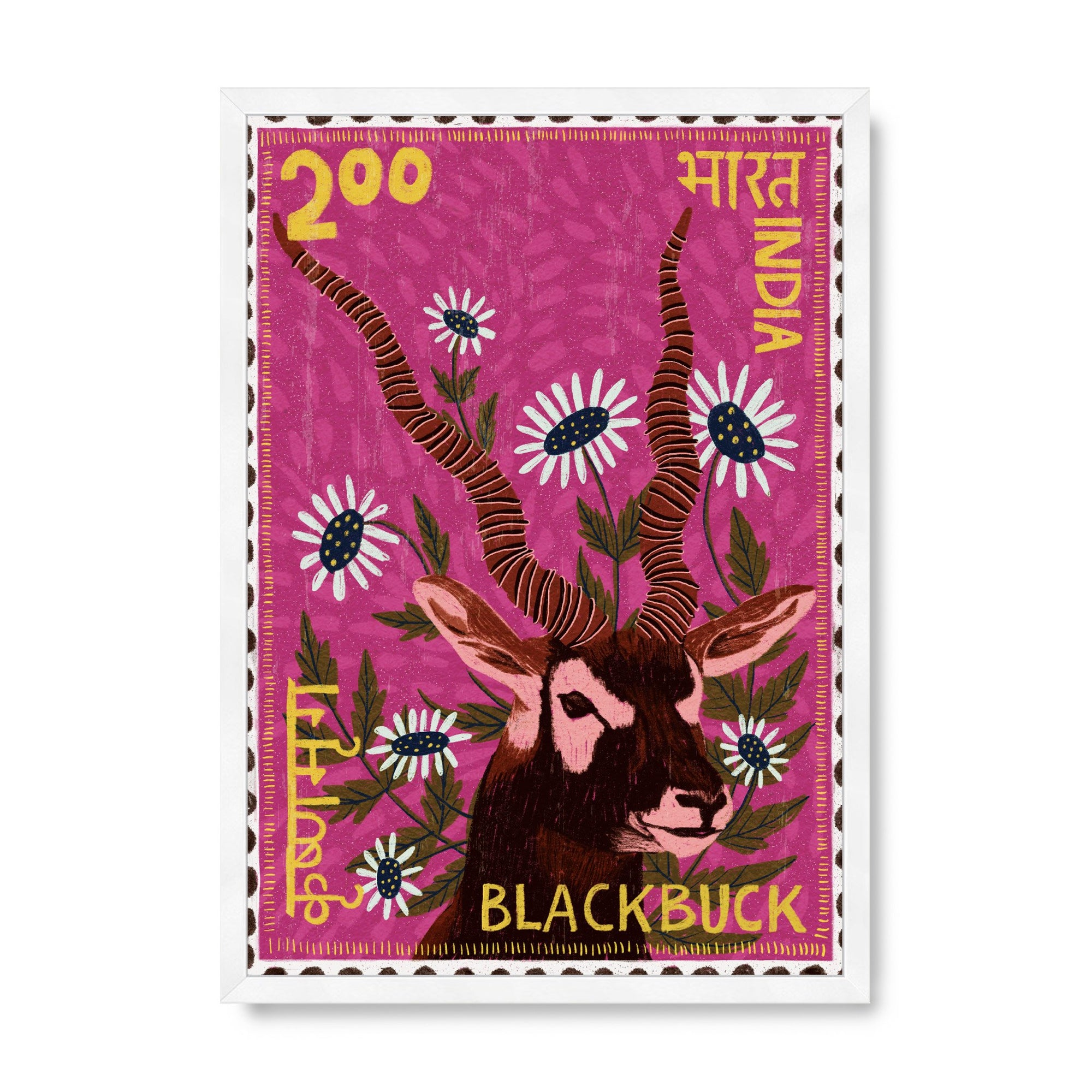 Postage Stamp - Blackbuck