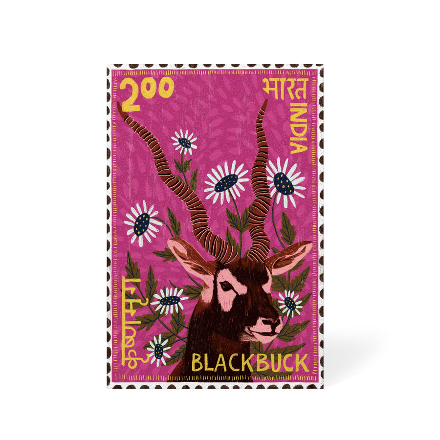 Postage Stamp - Blackbuck