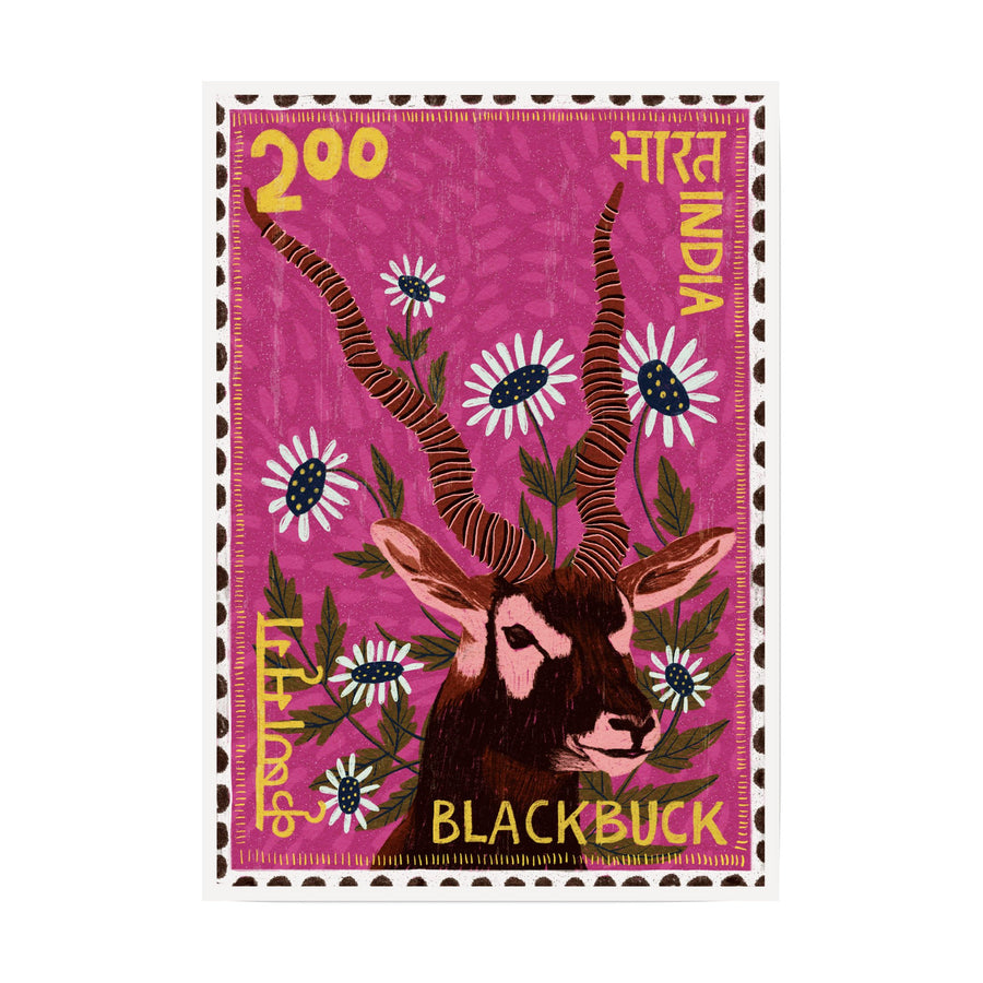 Postage Stamp - Blackbuck