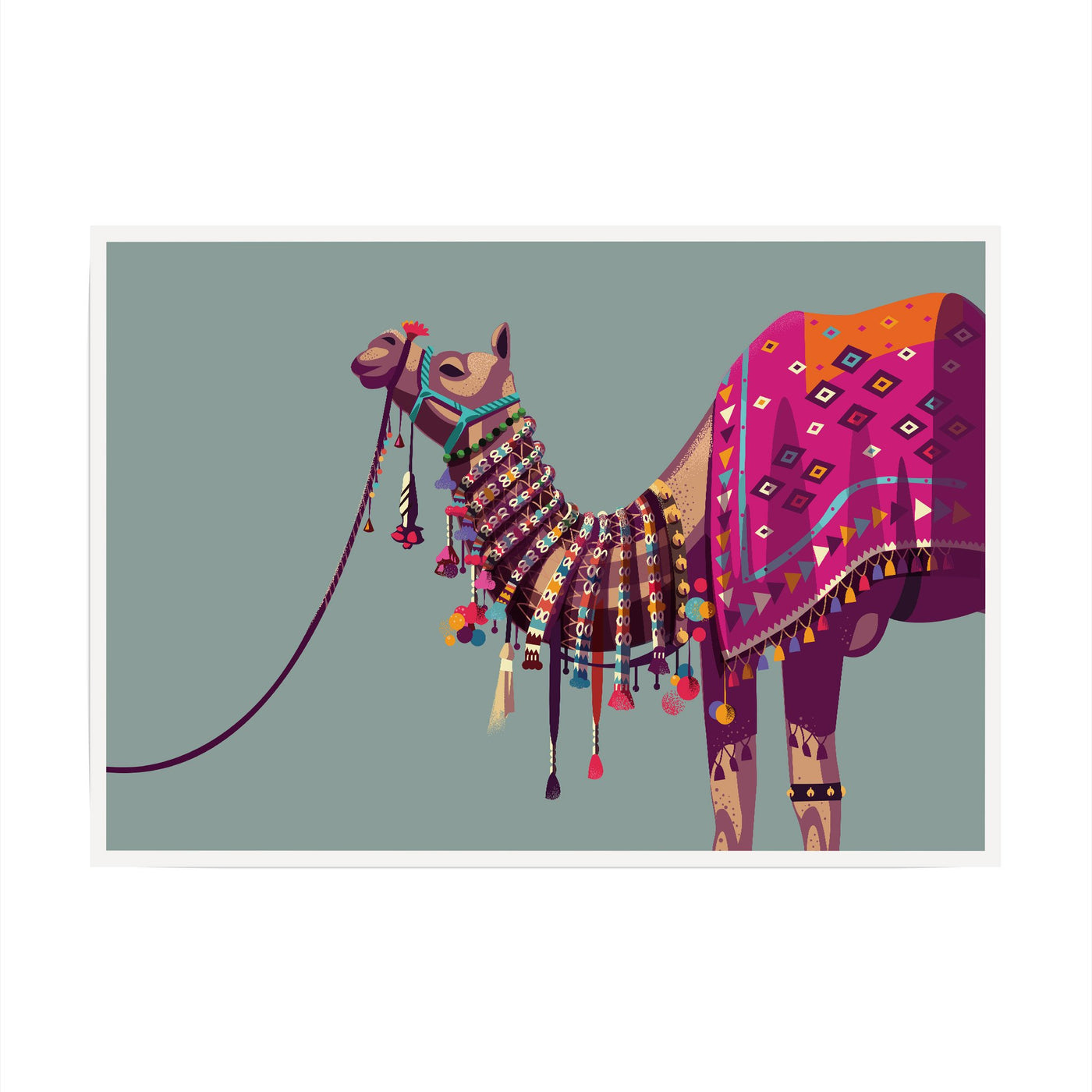 Rajasthani Camel