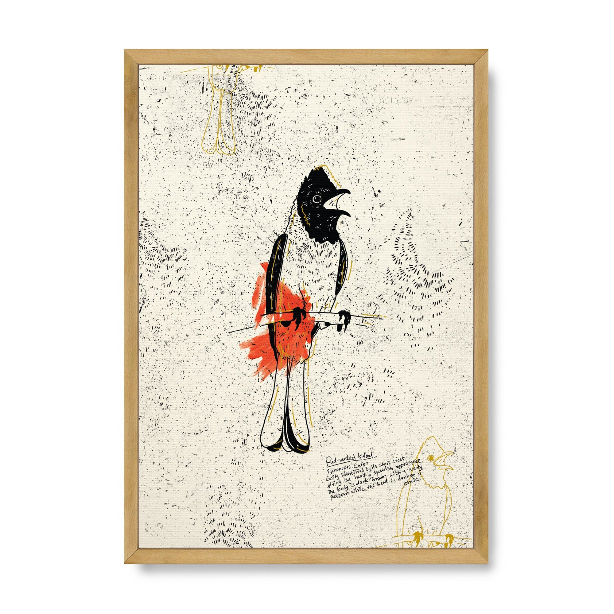 The Red Vented Bulbul