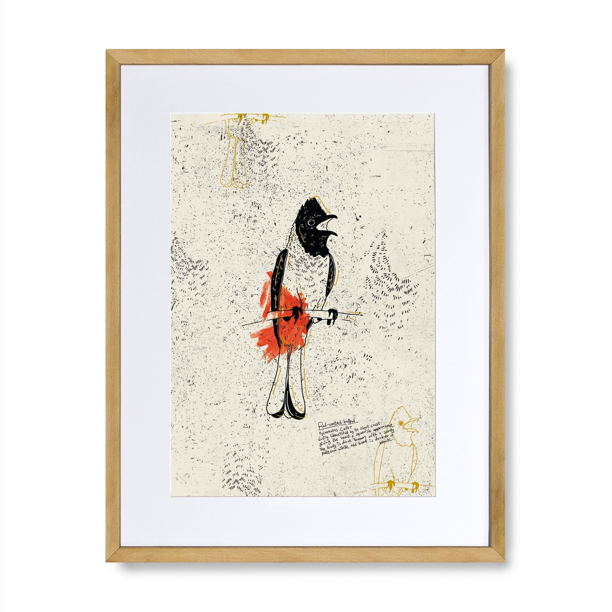 The Red Vented Bulbul