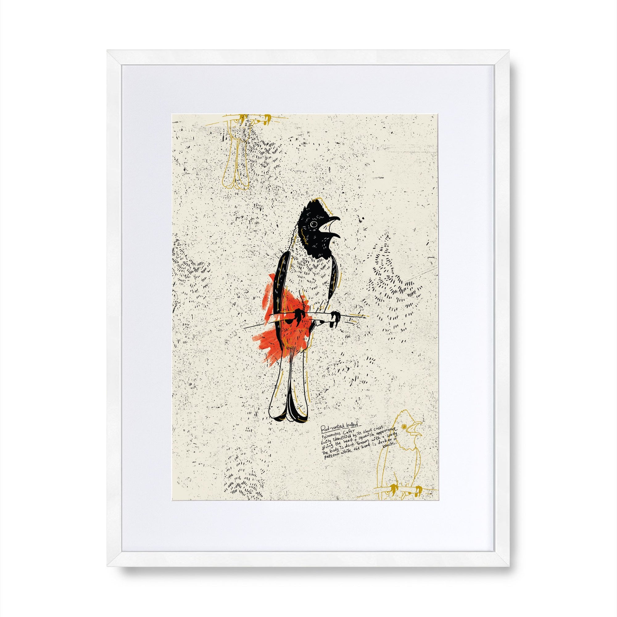 The Red Vented Bulbul