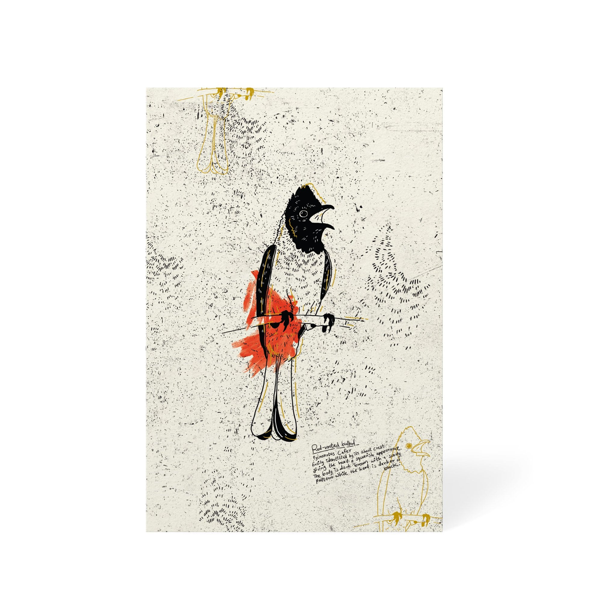 The Red Vented Bulbul