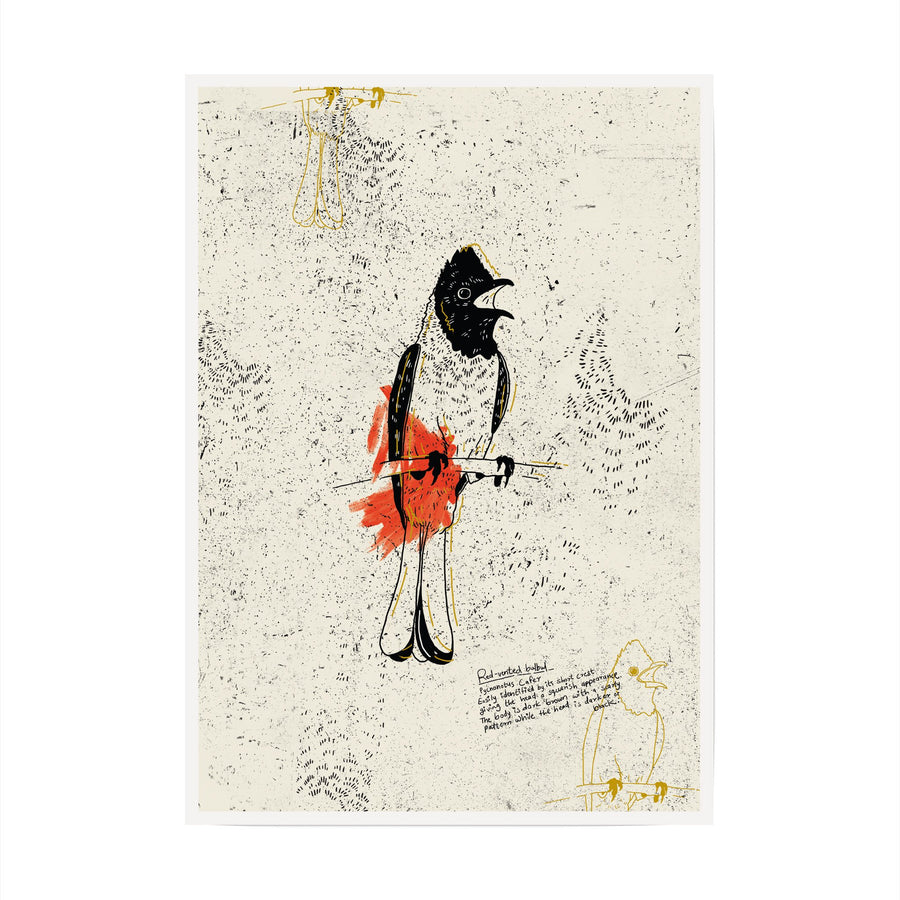 The Red Vented Bulbul