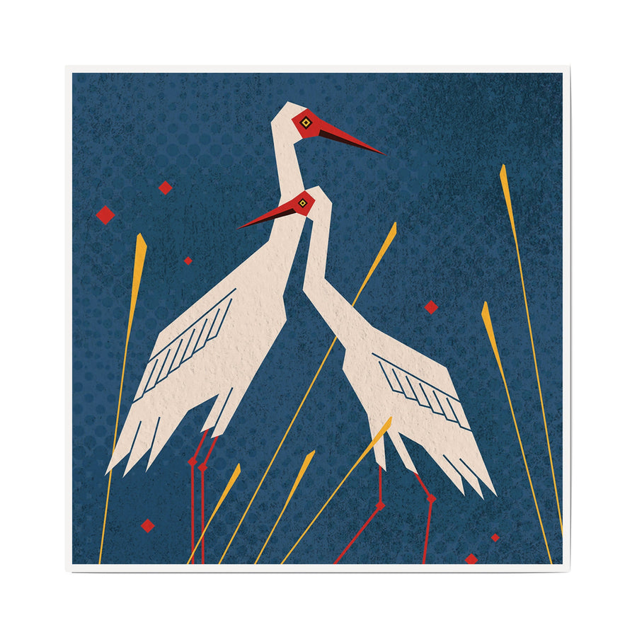 Siberian Crane