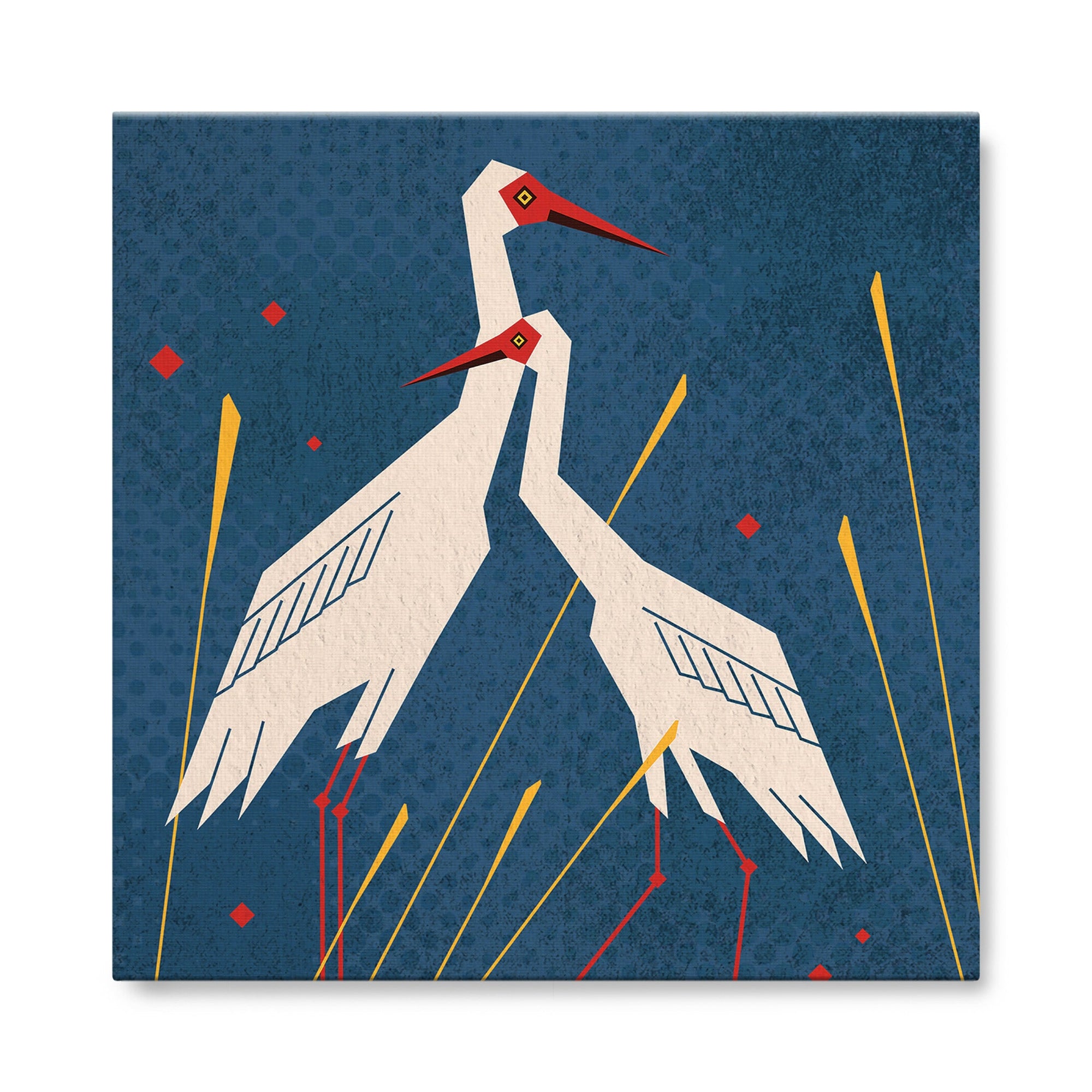 Siberian Crane
