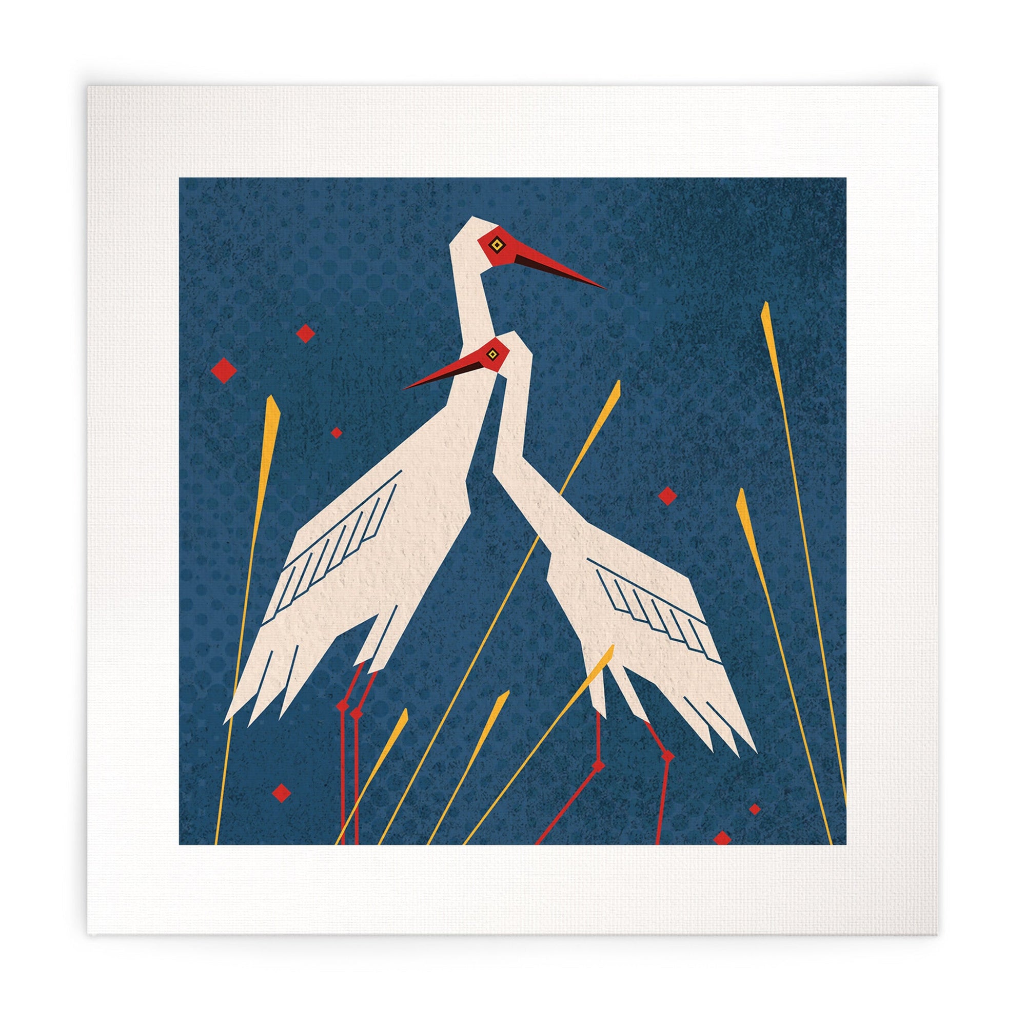 Siberian Crane