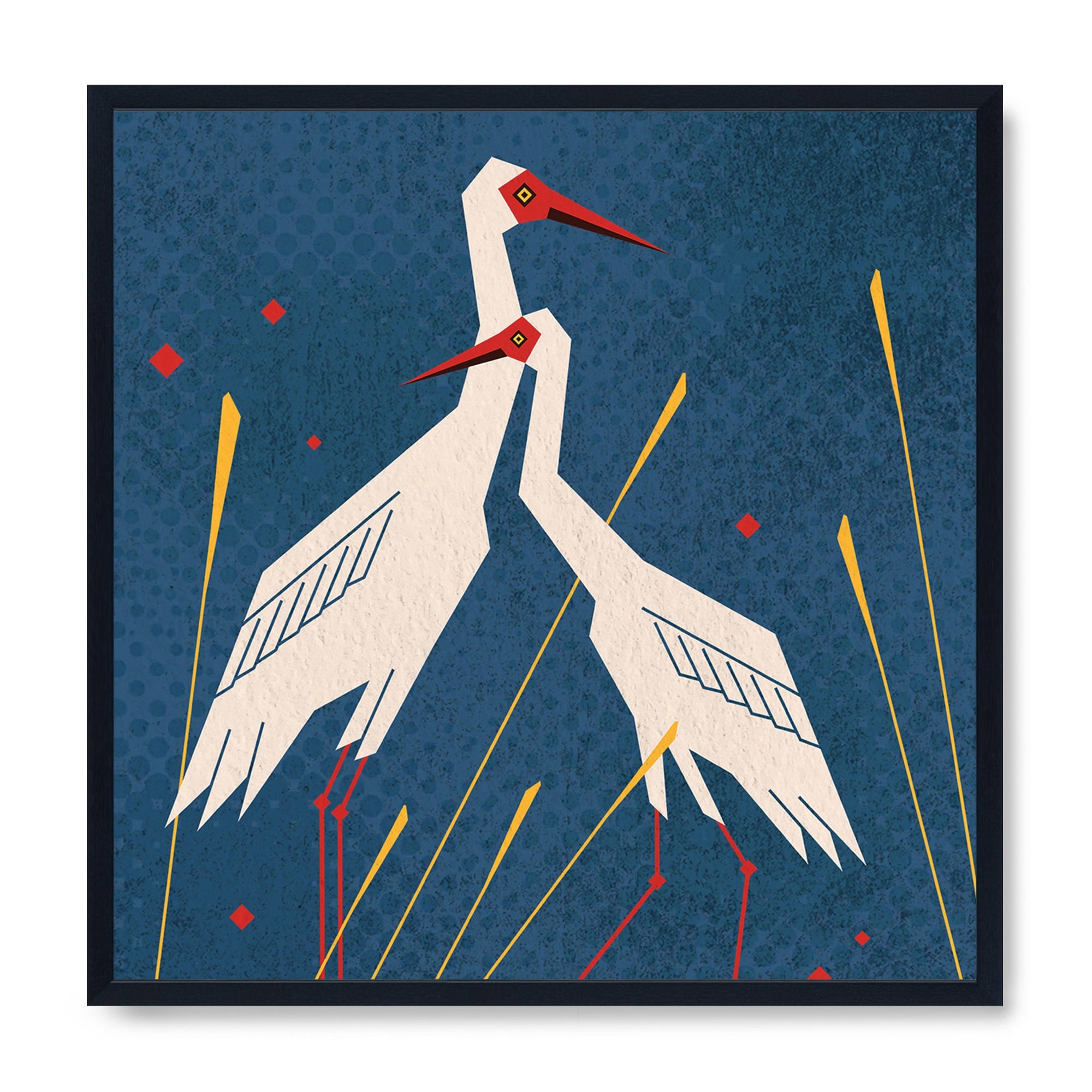 Siberian Crane