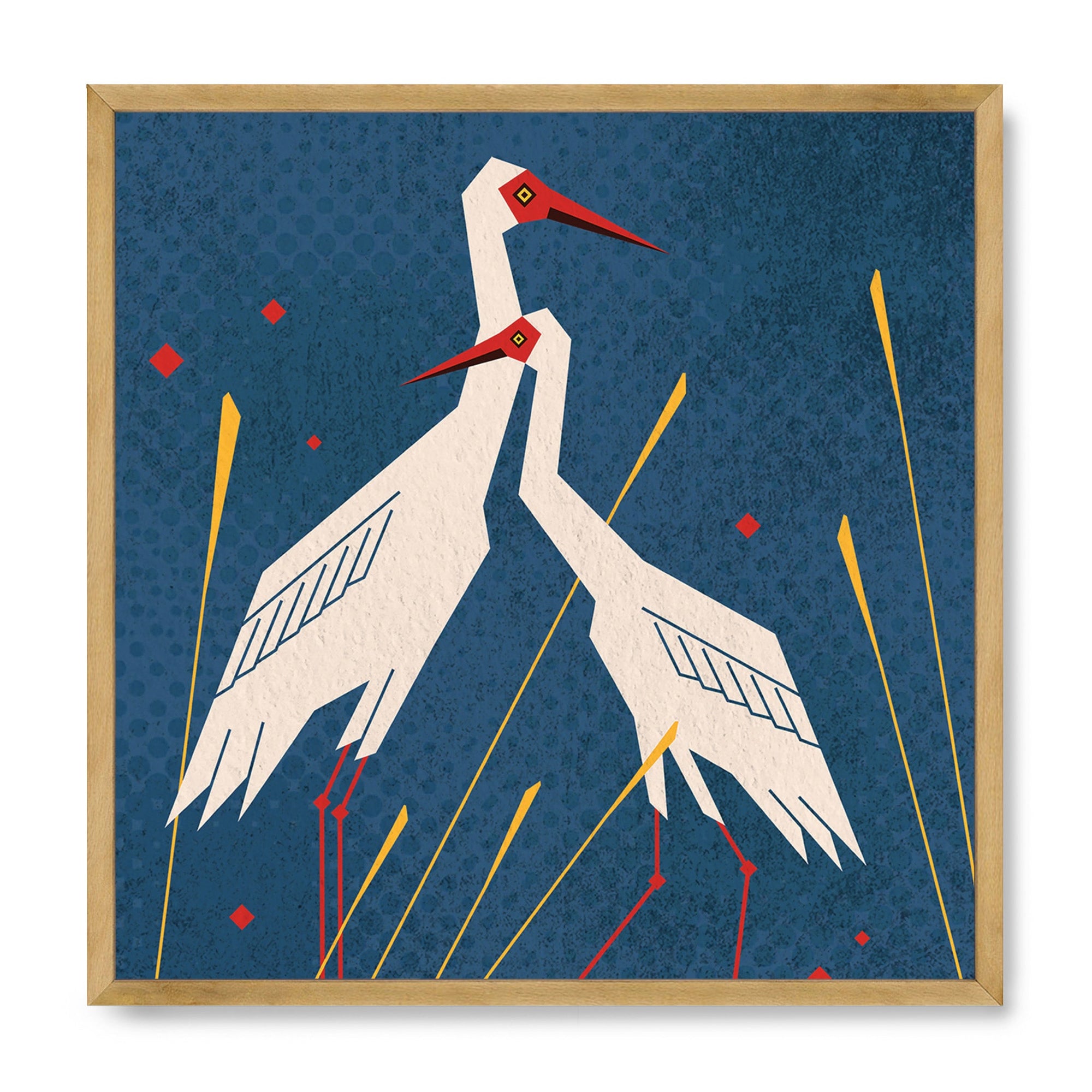 Siberian Crane