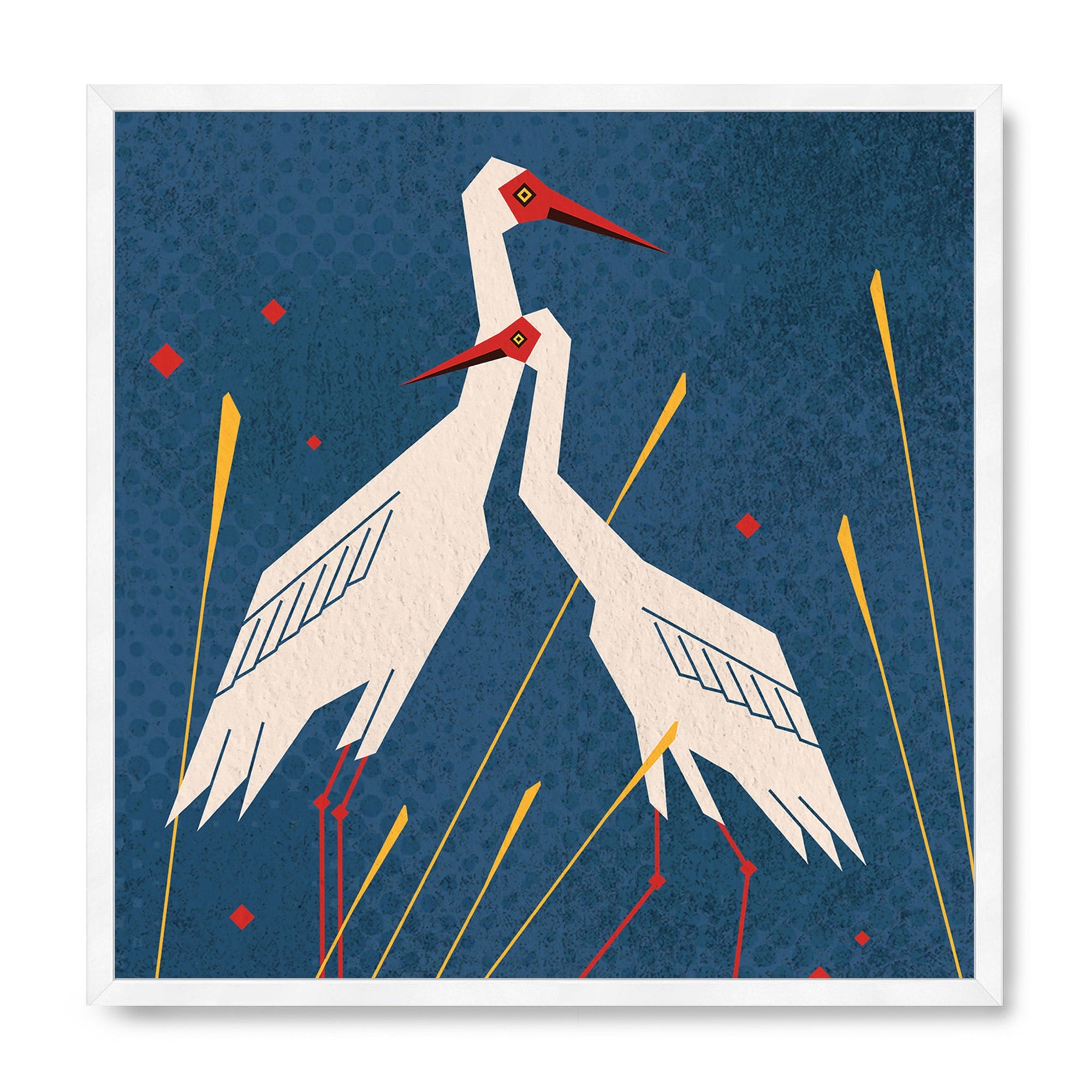 Siberian Crane