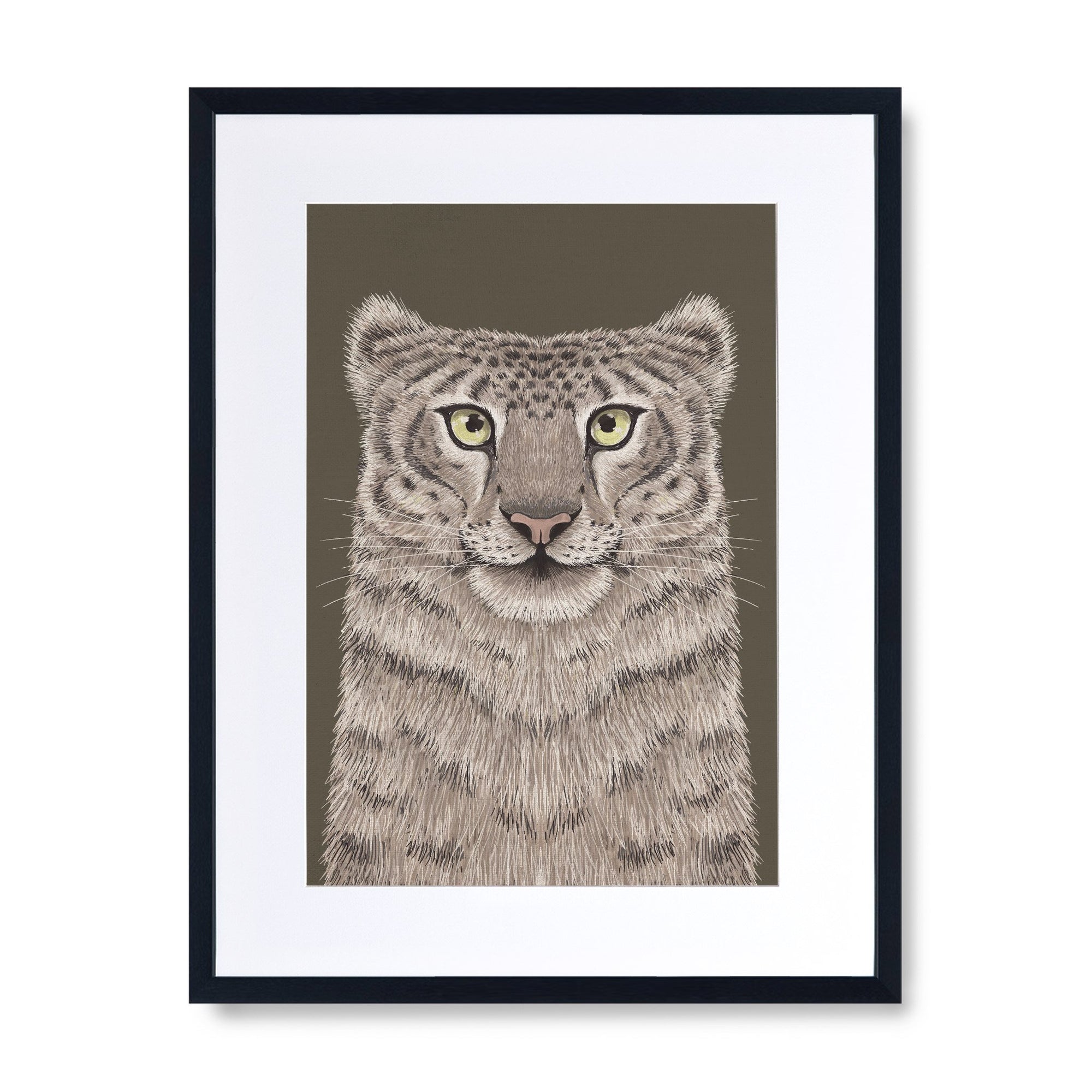 Snow Leopard