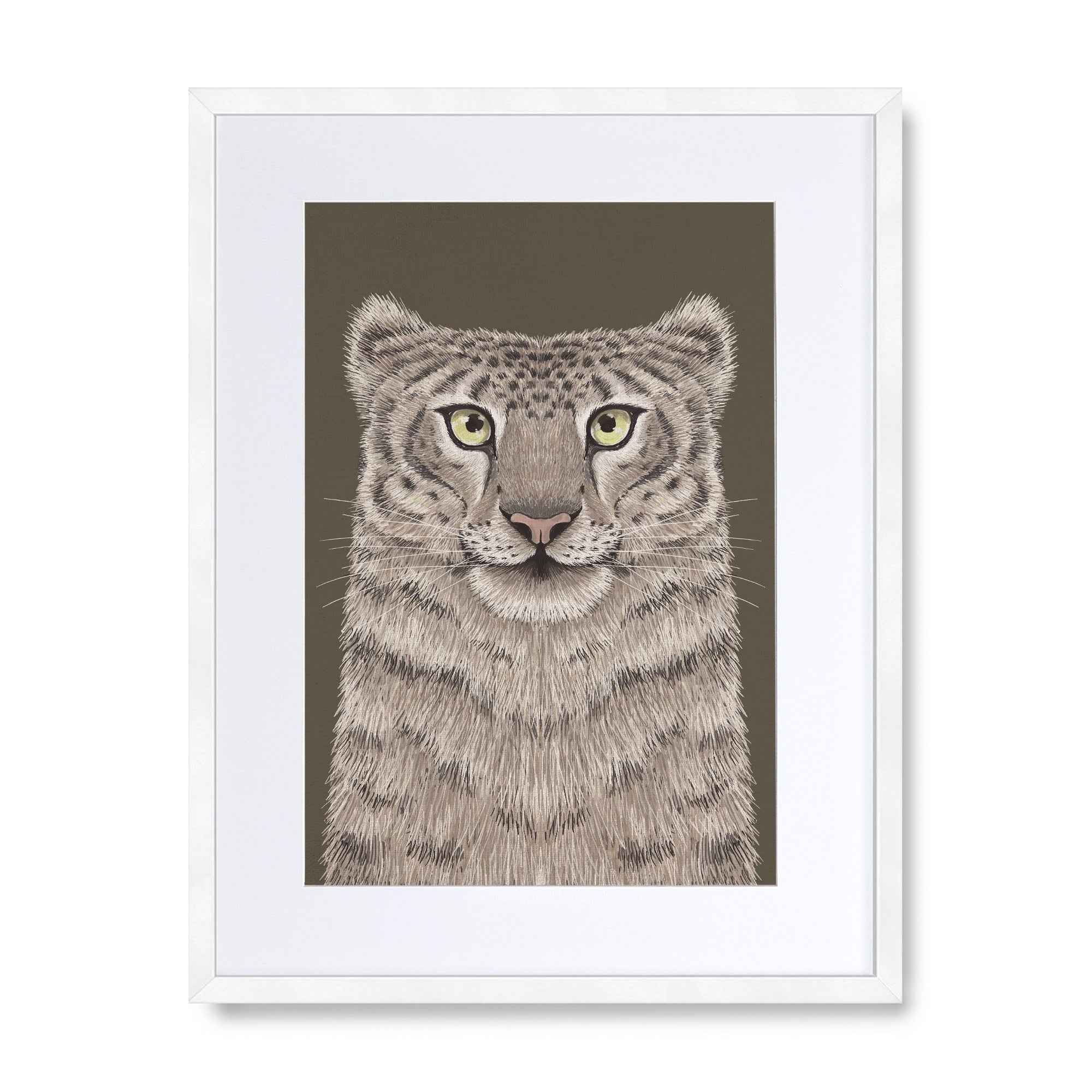 Snow Leopard