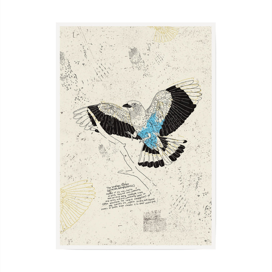 The Indian Roller