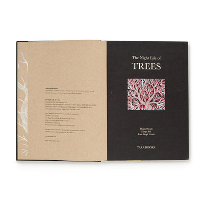 The Night Life of Trees